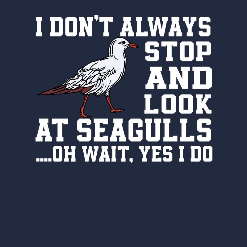 Drôle de mouette