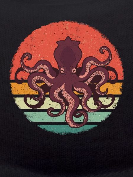 Octopus Octopus Cuttlefish Animal