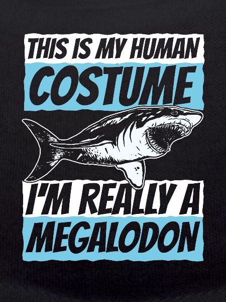 Megalodon Shark Otodus