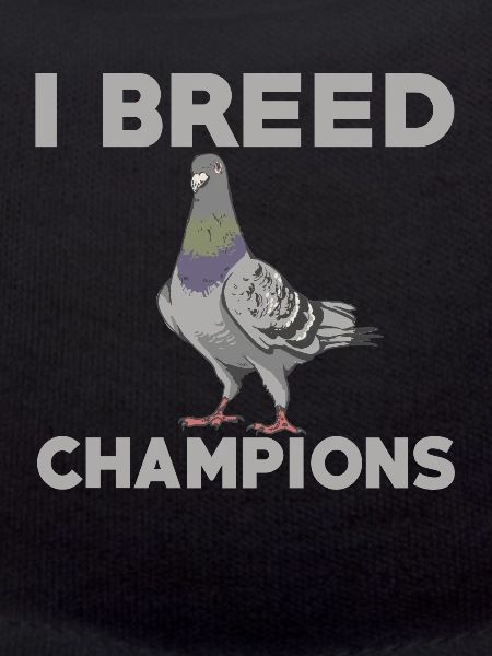 Pigeon breeder