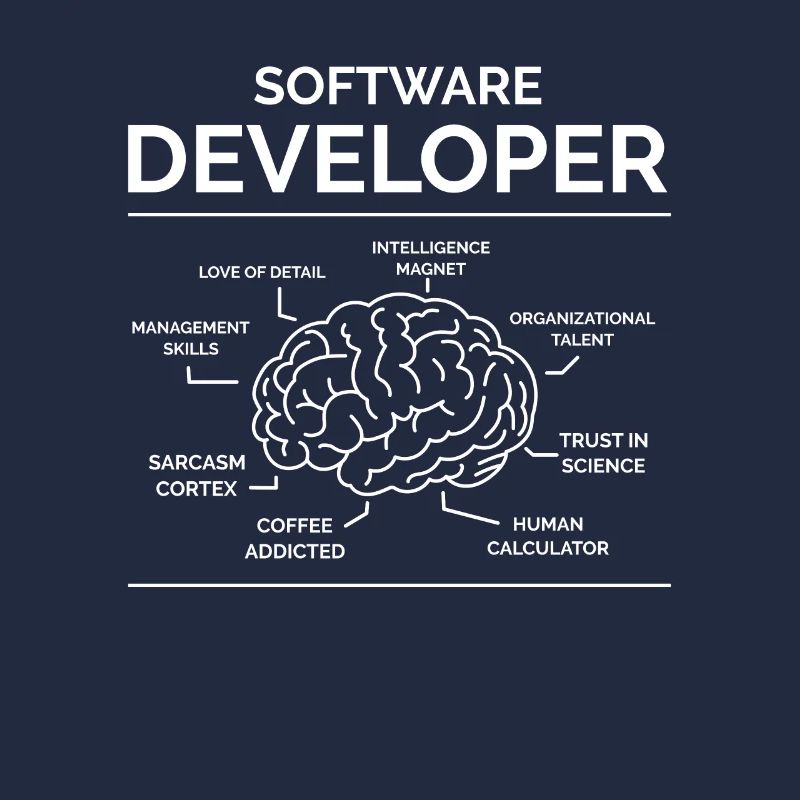 Software Entwickler