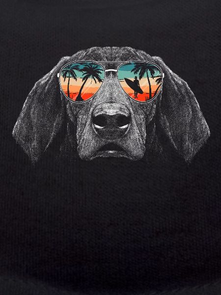 Dachshund Dog