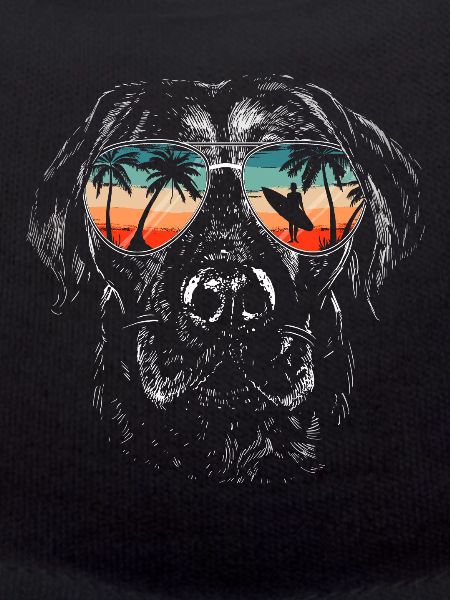Labrador dog