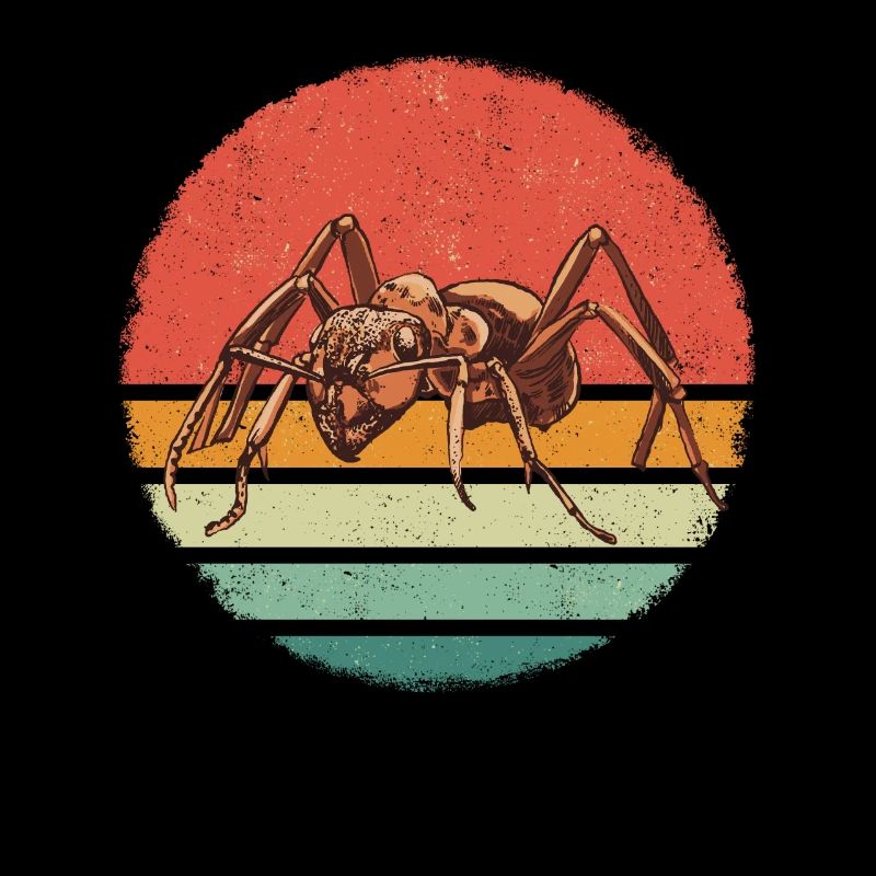 Fourmis insectes fourmis