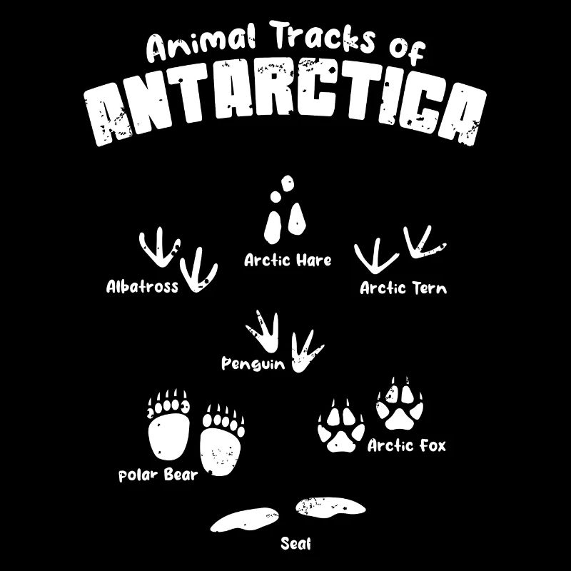 Antarctic Animal Tracks Footprints