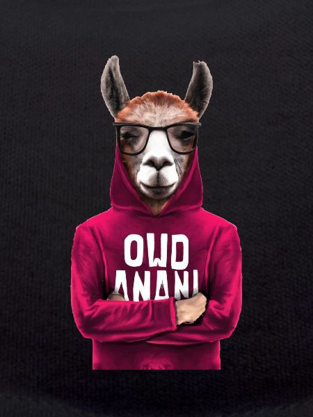 Lama Alpaga