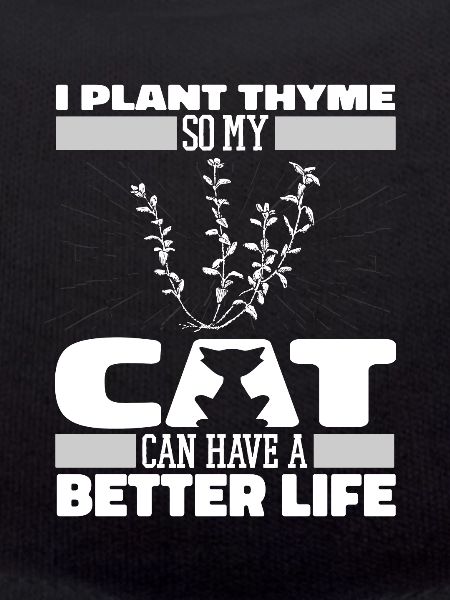 Thyme Herb Cat