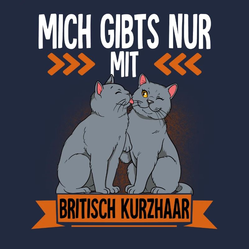 Britisch Kurzhaar Katze