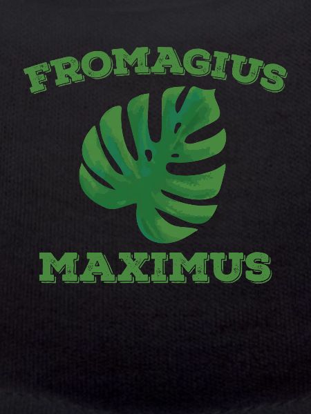 Monstera plant Fromagius Maximus