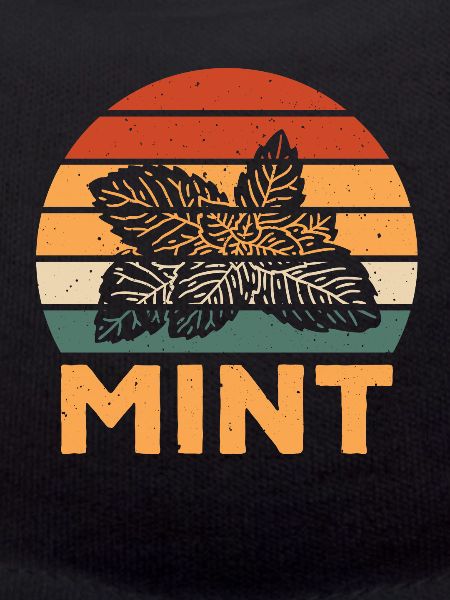 Retro Mint Design