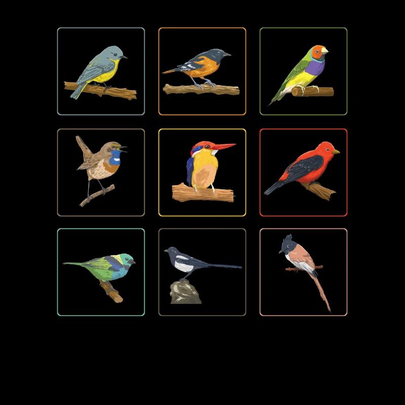 Cute Birds Collection Birdwatching