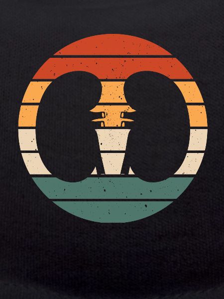 Retro Kidney Design Nephrology