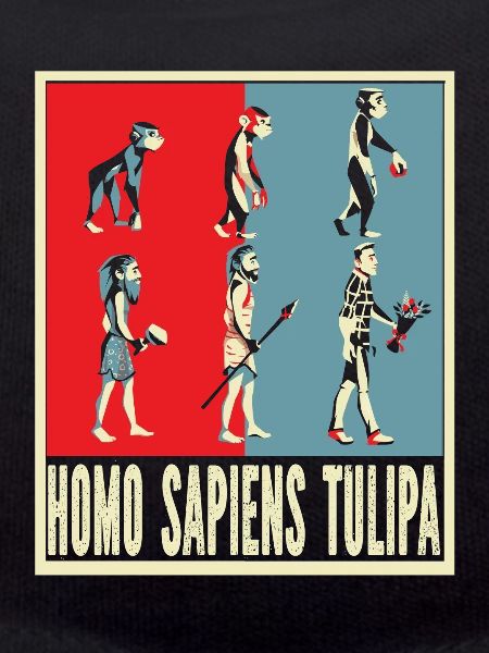 Tulipes Evolution Tulipes