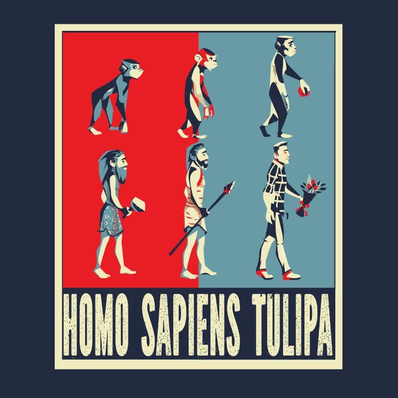Tulipes Evolution Tulipes