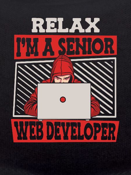 Web Entwickler Webdeveloper Senior