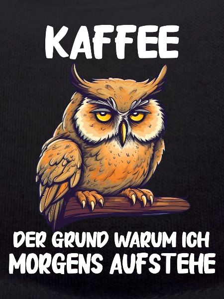 Nachteule Eule Eulen Vogel