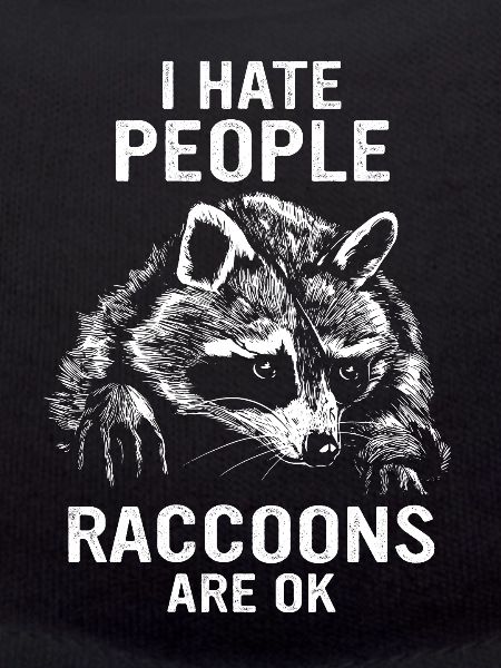 Raton laveur