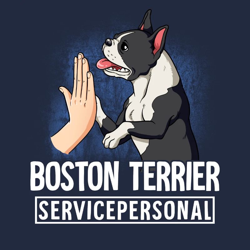 Boston Terrier