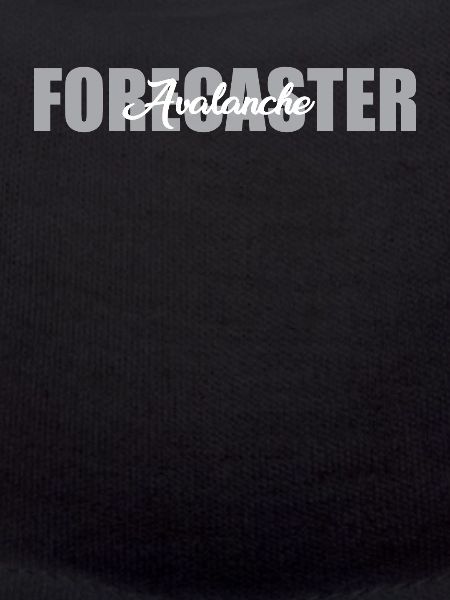 Avalanche forecasters