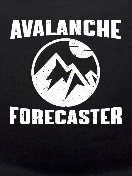 Avalanche warning system