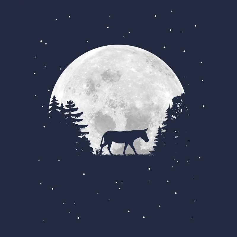 Pleine Lune - Nuit - Silhouette d’âne