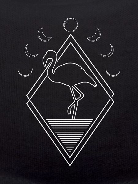 Flamingo Moon Phases