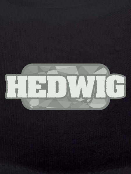 Gift for Hedwig