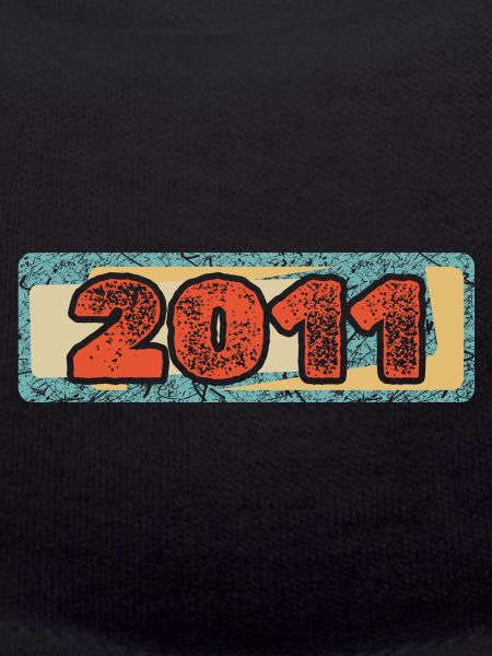 Year 2011