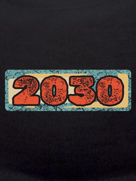 Year 2030