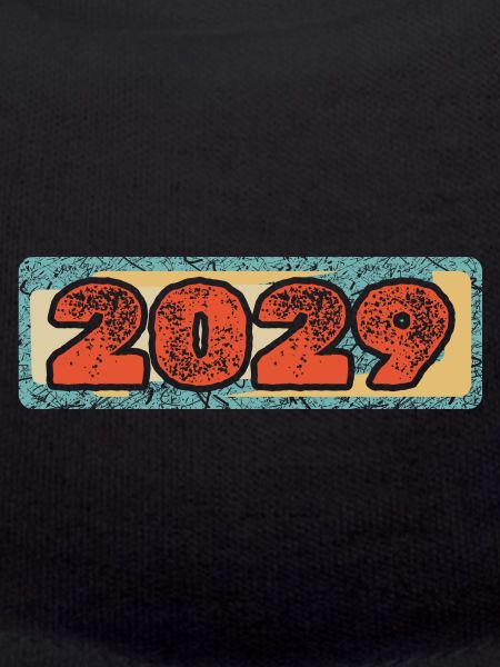 Jahr 2029