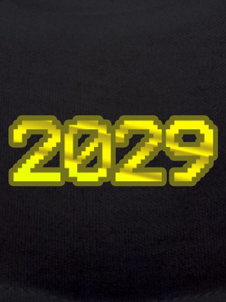 Ordinateur 2029