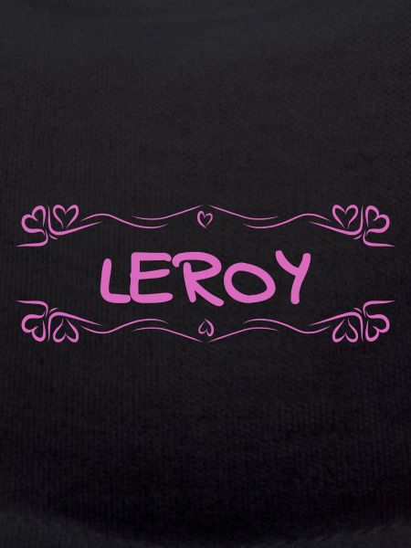Name Leroy