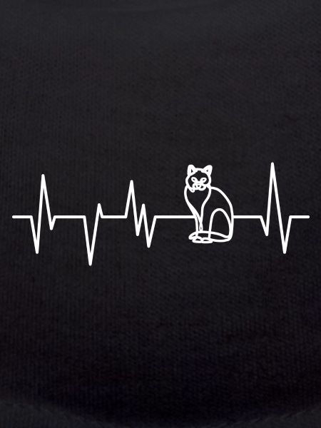 Cats Cat Cat