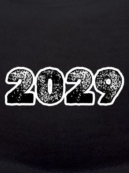 Year 2029