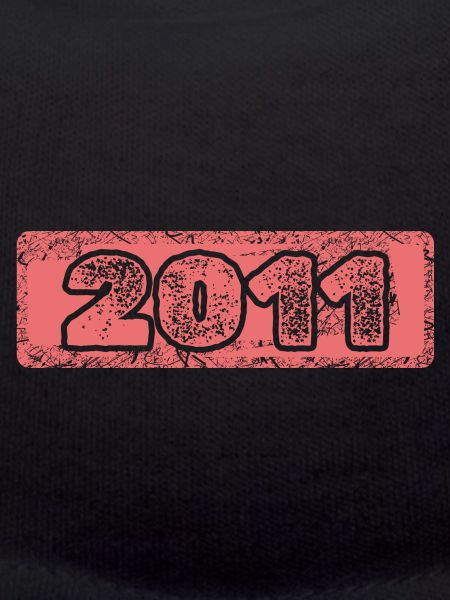 Year 2011