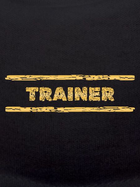 Coach as a profession
