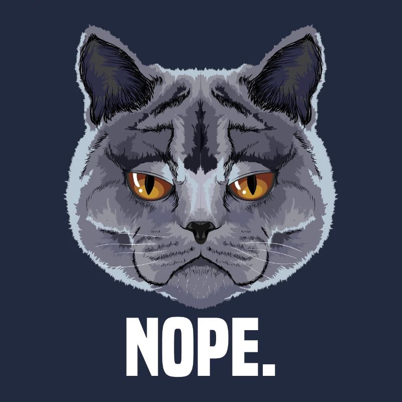 grumpy british shorthair cat cat lover