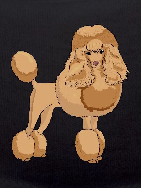 Poodle