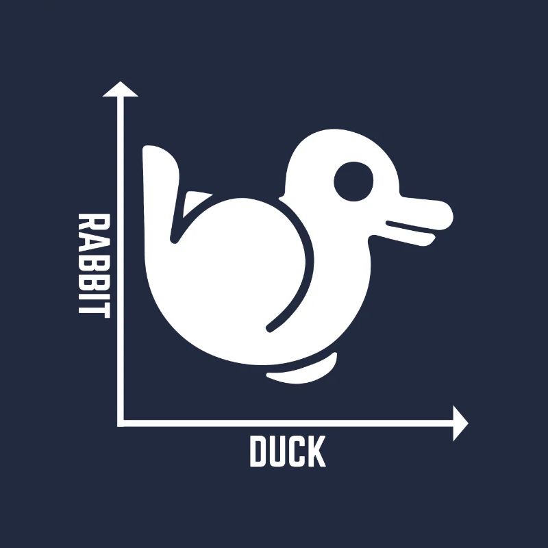 Rabbit Duck Graph Math Pun Student Teacher Easter