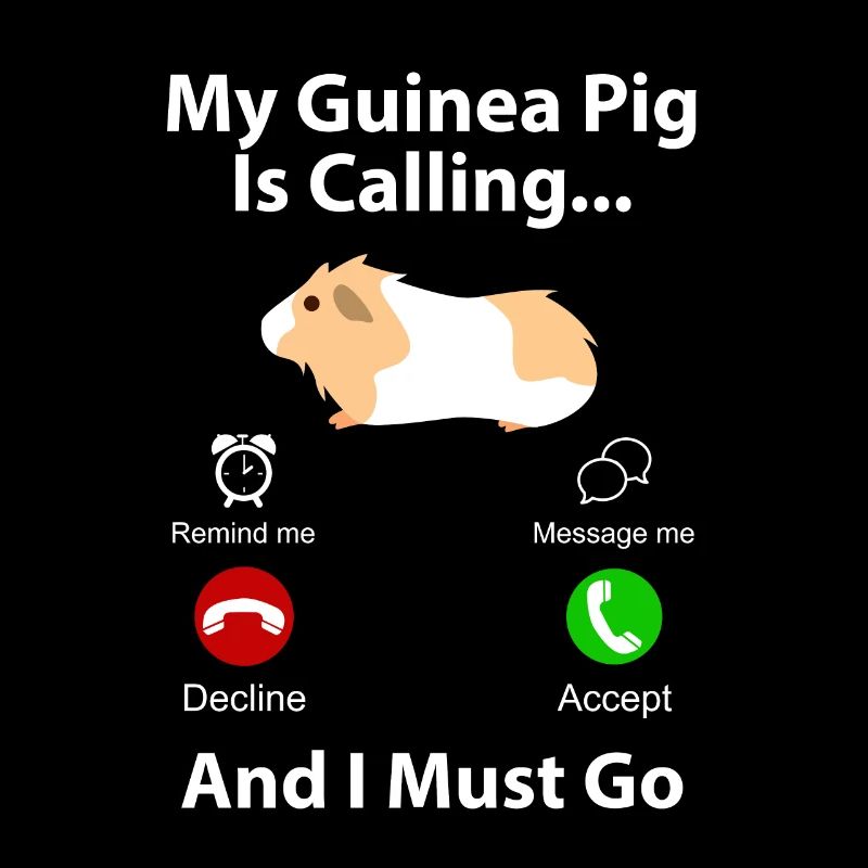 Cochon d'Inde