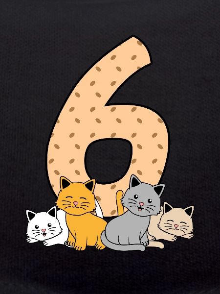 6th birthday