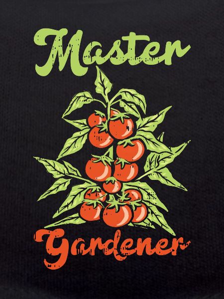 Tomate