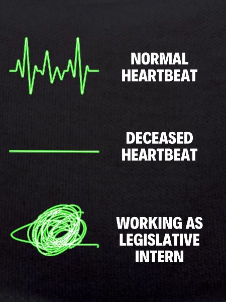 Legislative Intern Assistant Legislative