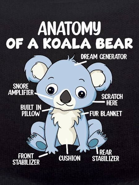 Anatomie eines Koala-Bären