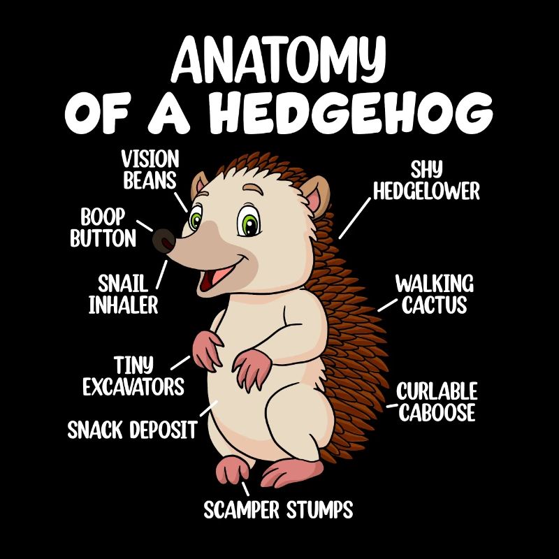 Anatomie d’un hérisson