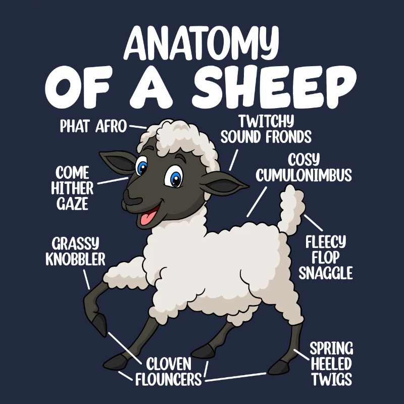 Anatomie eines Schafes
