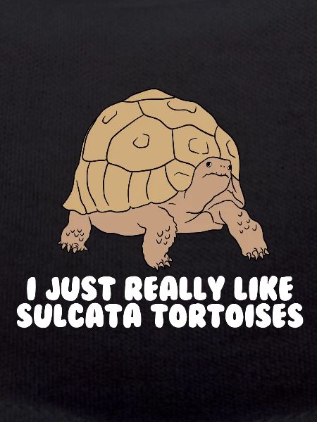 Sulcata turtles