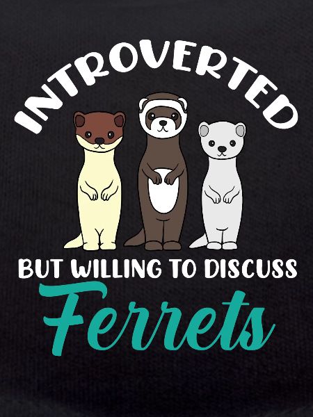 Ferret