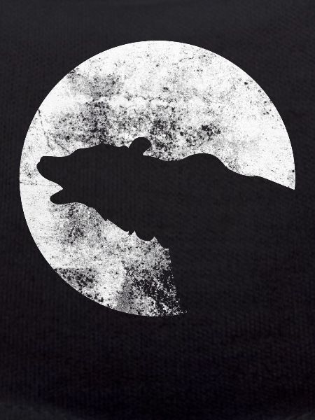 Moon - Bear - (2)