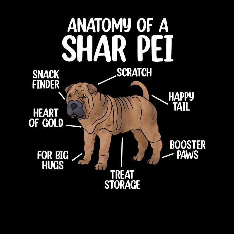Shar Pei chinois